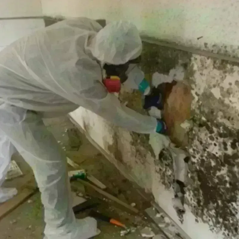 Mold Remediation and Removal in Oliver County, ND