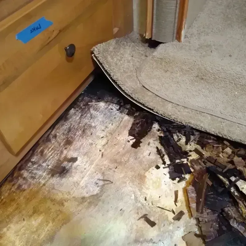 Wood Floor Water Damage in Oliver County, ND